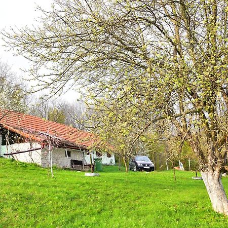 La Salasul Fermecat In Cheile Carasului Iabalcea Exterior foto