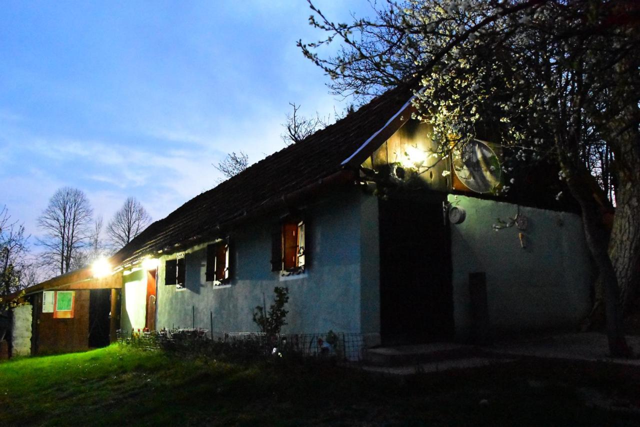 La Salasul Fermecat In Cheile Carasului Iabalcea Exterior foto