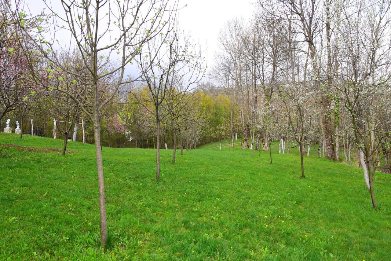 La Salasul Fermecat In Cheile Carasului Iabalcea Exterior foto