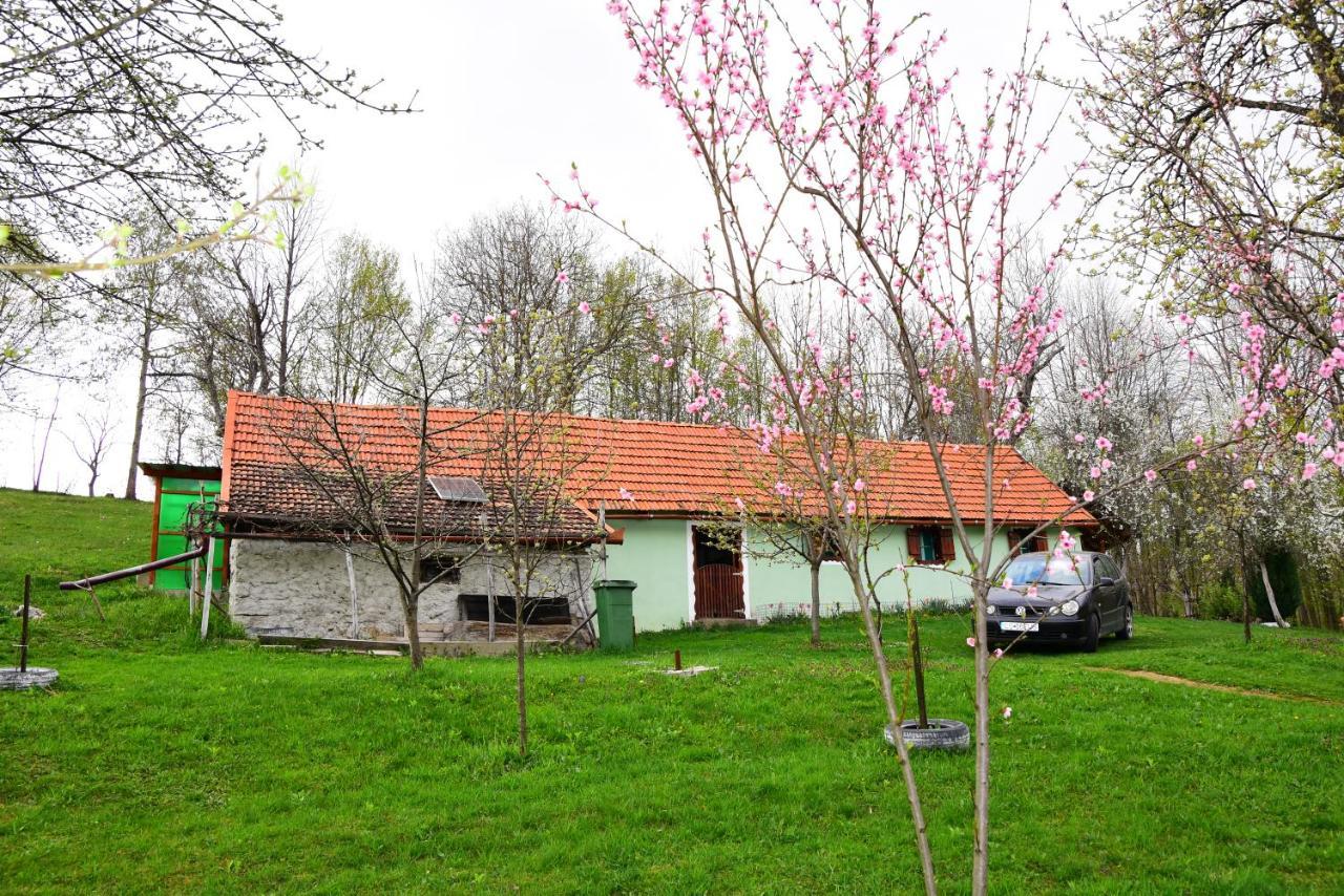 La Salasul Fermecat In Cheile Carasului Iabalcea Exterior foto
