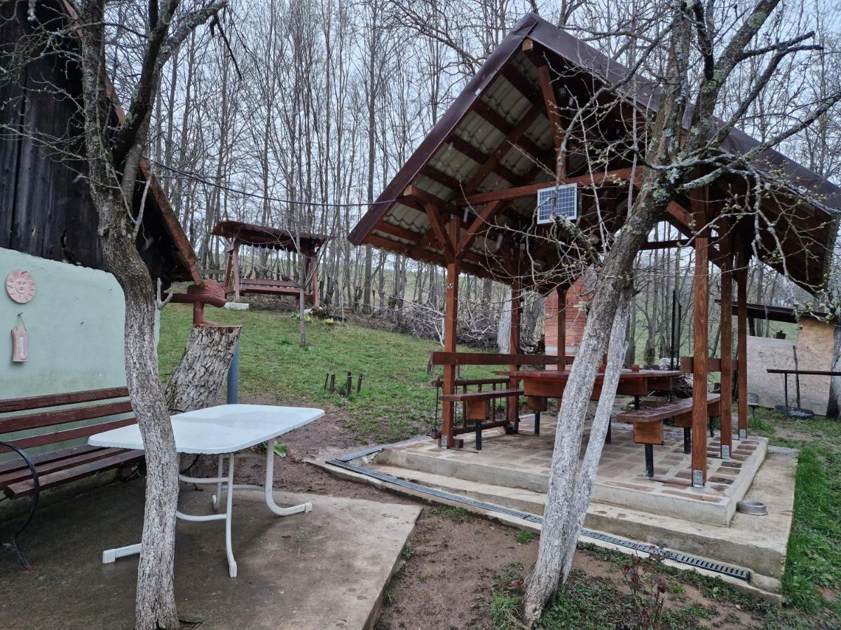 La Salasul Fermecat In Cheile Carasului Iabalcea Exterior foto