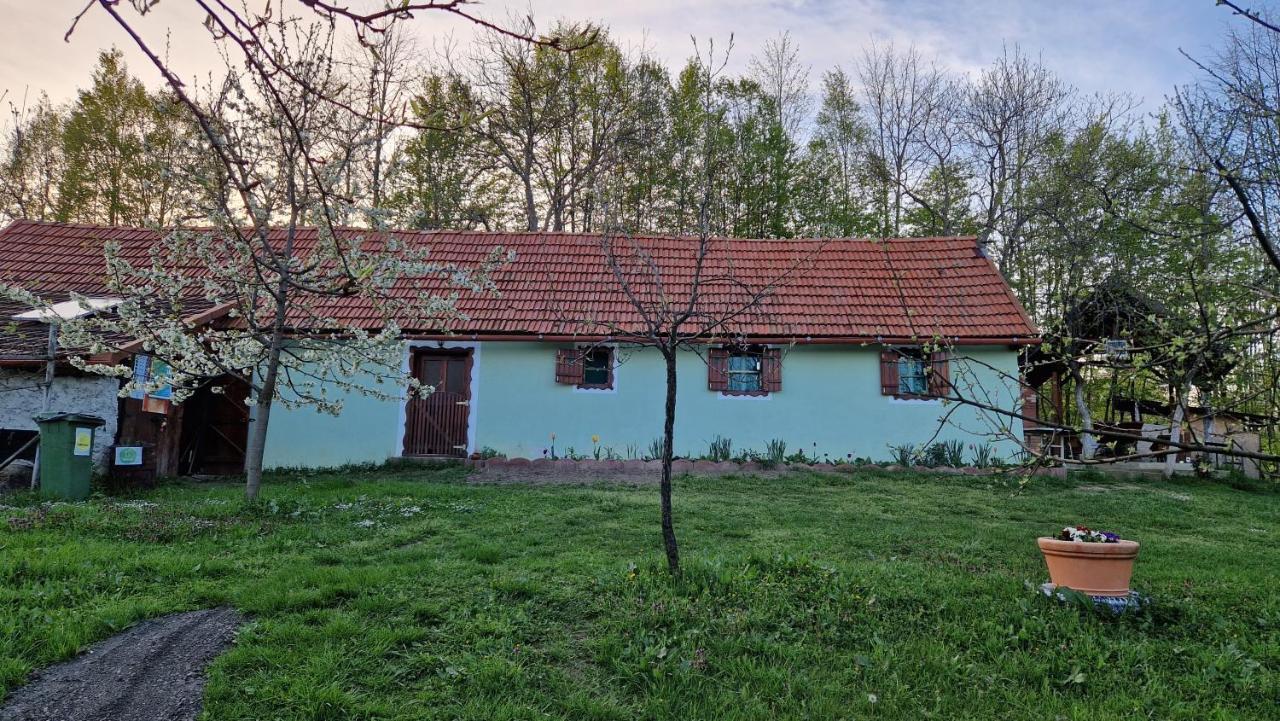 La Salasul Fermecat In Cheile Carasului Iabalcea Exterior foto