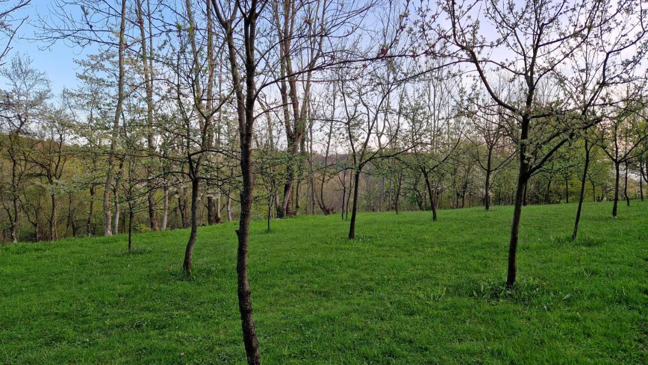 La Salasul Fermecat In Cheile Carasului Iabalcea Exterior foto